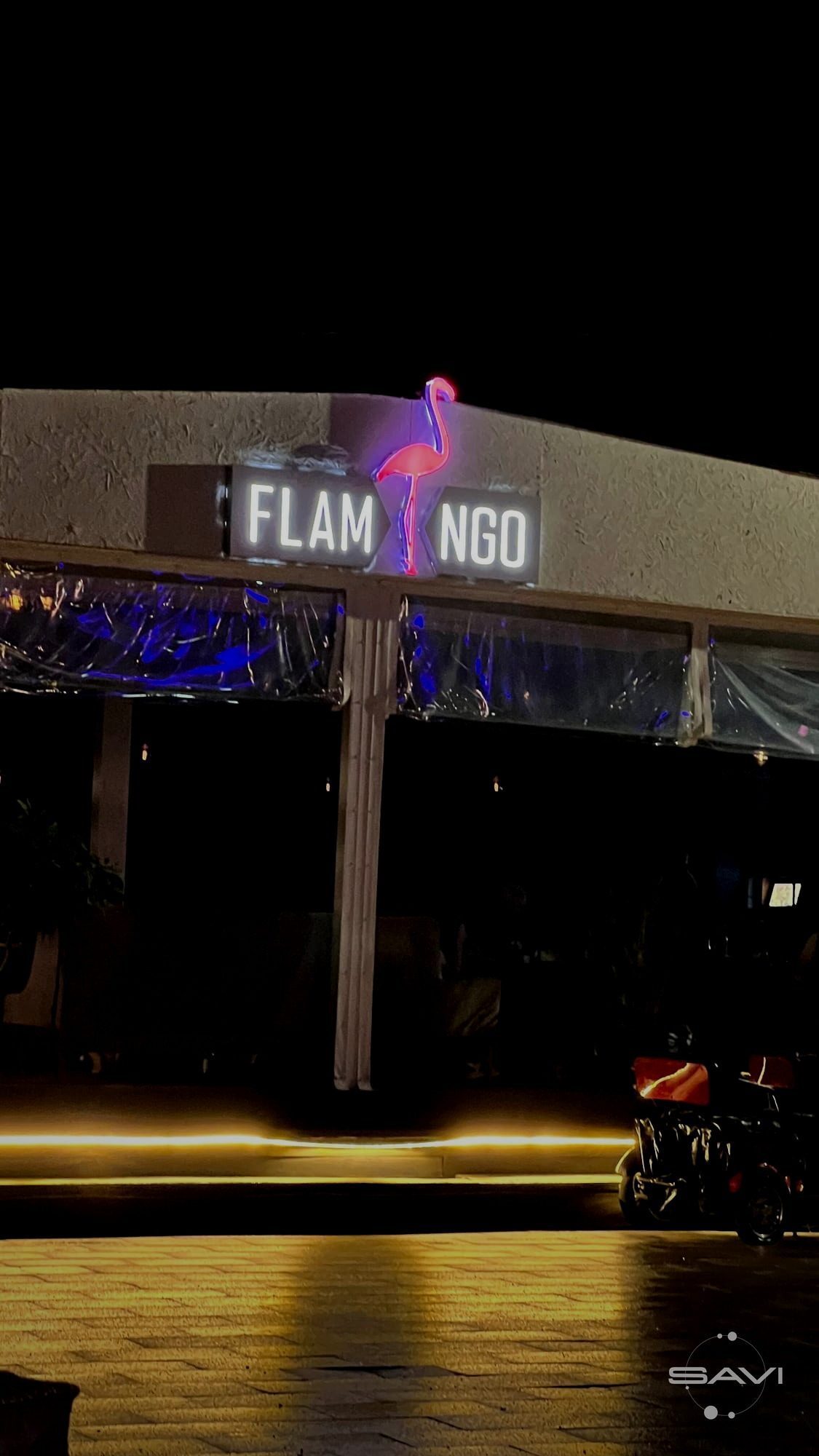 flamingo 666
