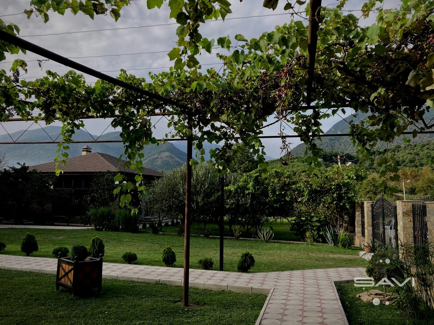 winejetabkhazia 816
