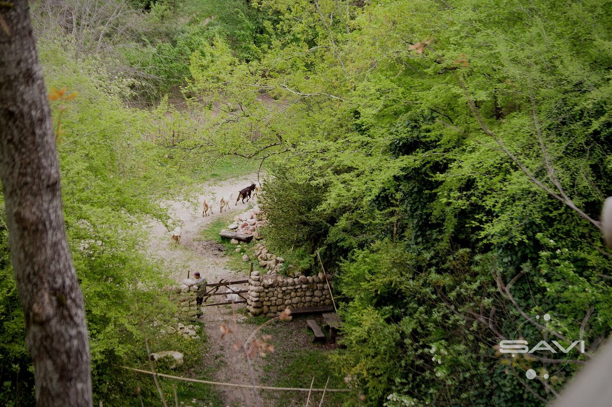 Крепость Абахуаца, 2009 год