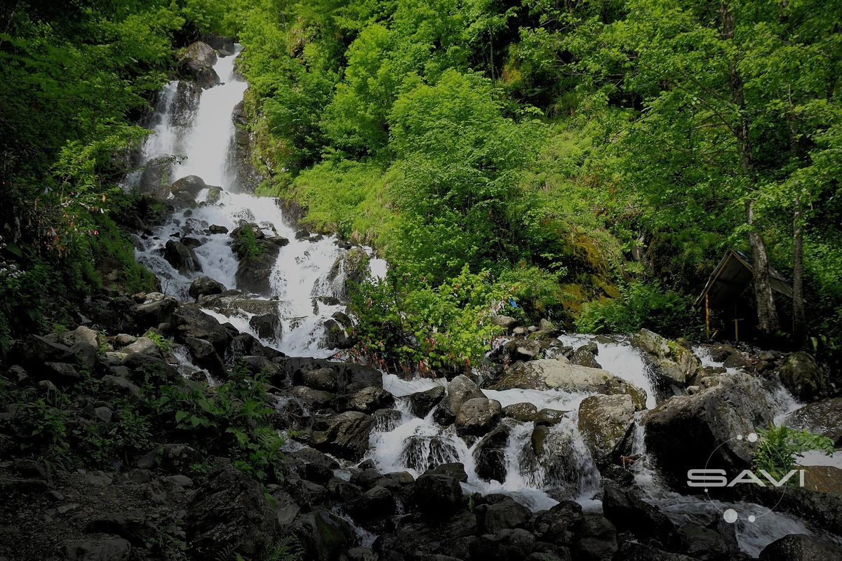 2014 реликтовый парк национальный Рица Mleczny водопад