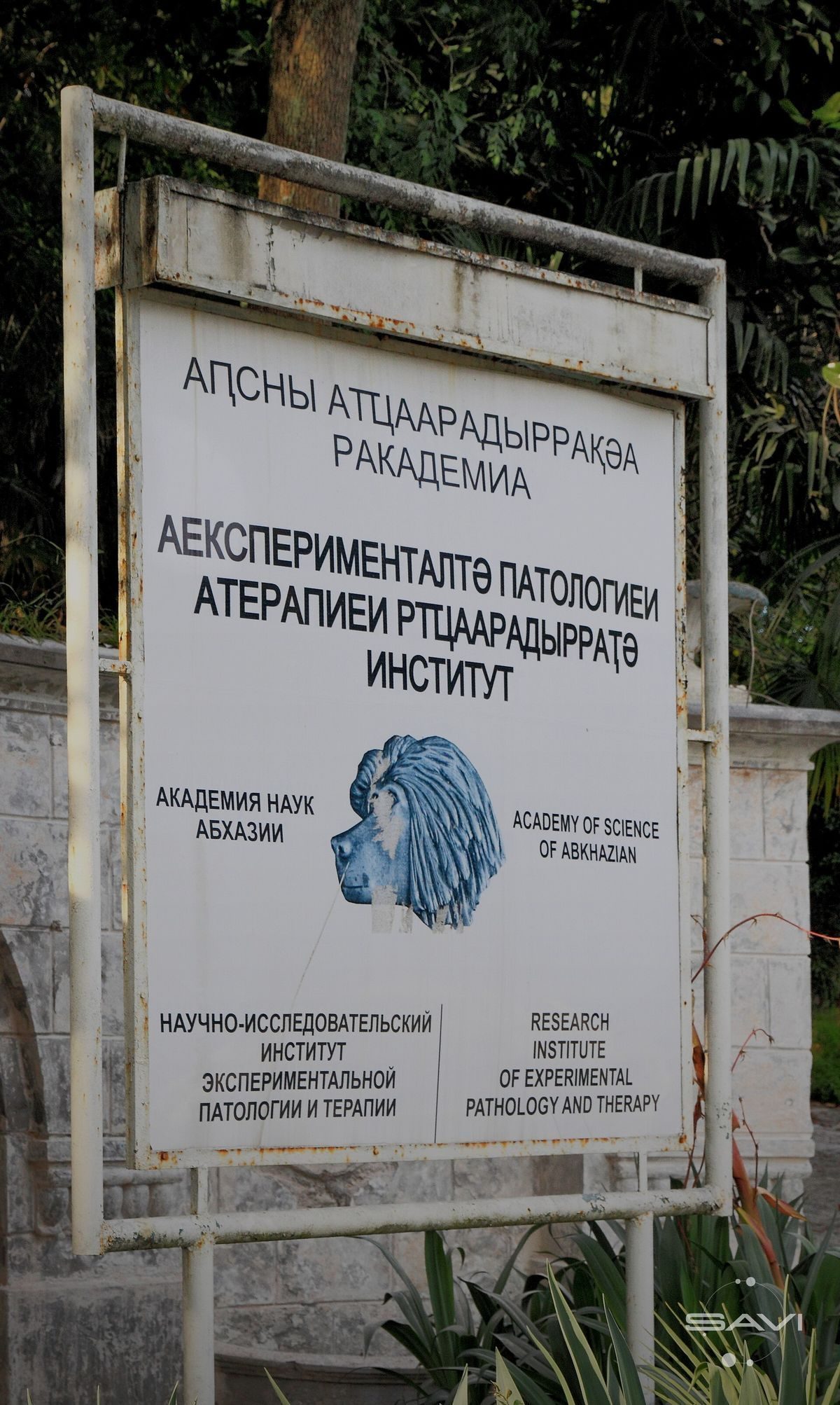 2014 Сухум Ma piarnia