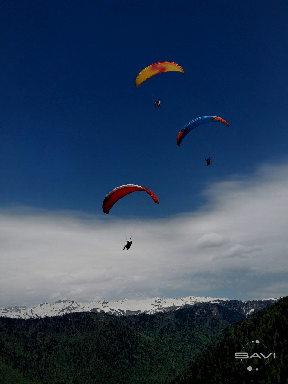 парапланы над горами Абхазии