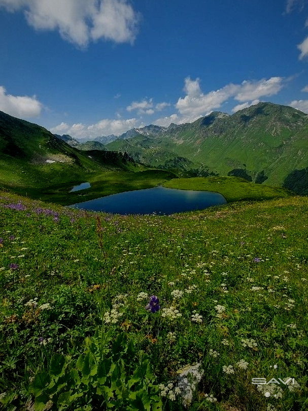 горы Абхазия зелёные лето