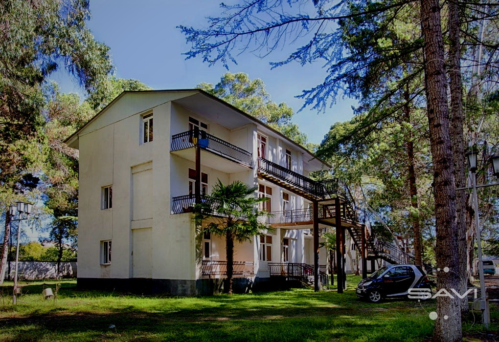 evkaliptovaya roscha 1017