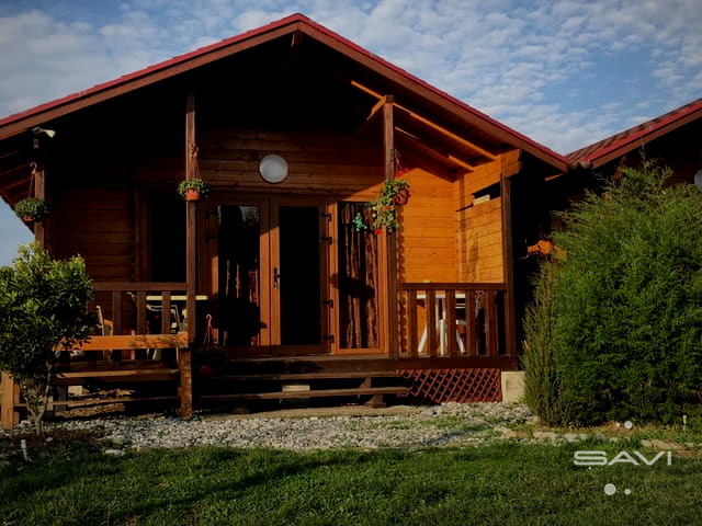 slavica 237