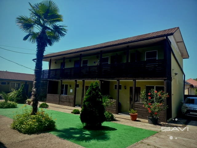 7 palm 264