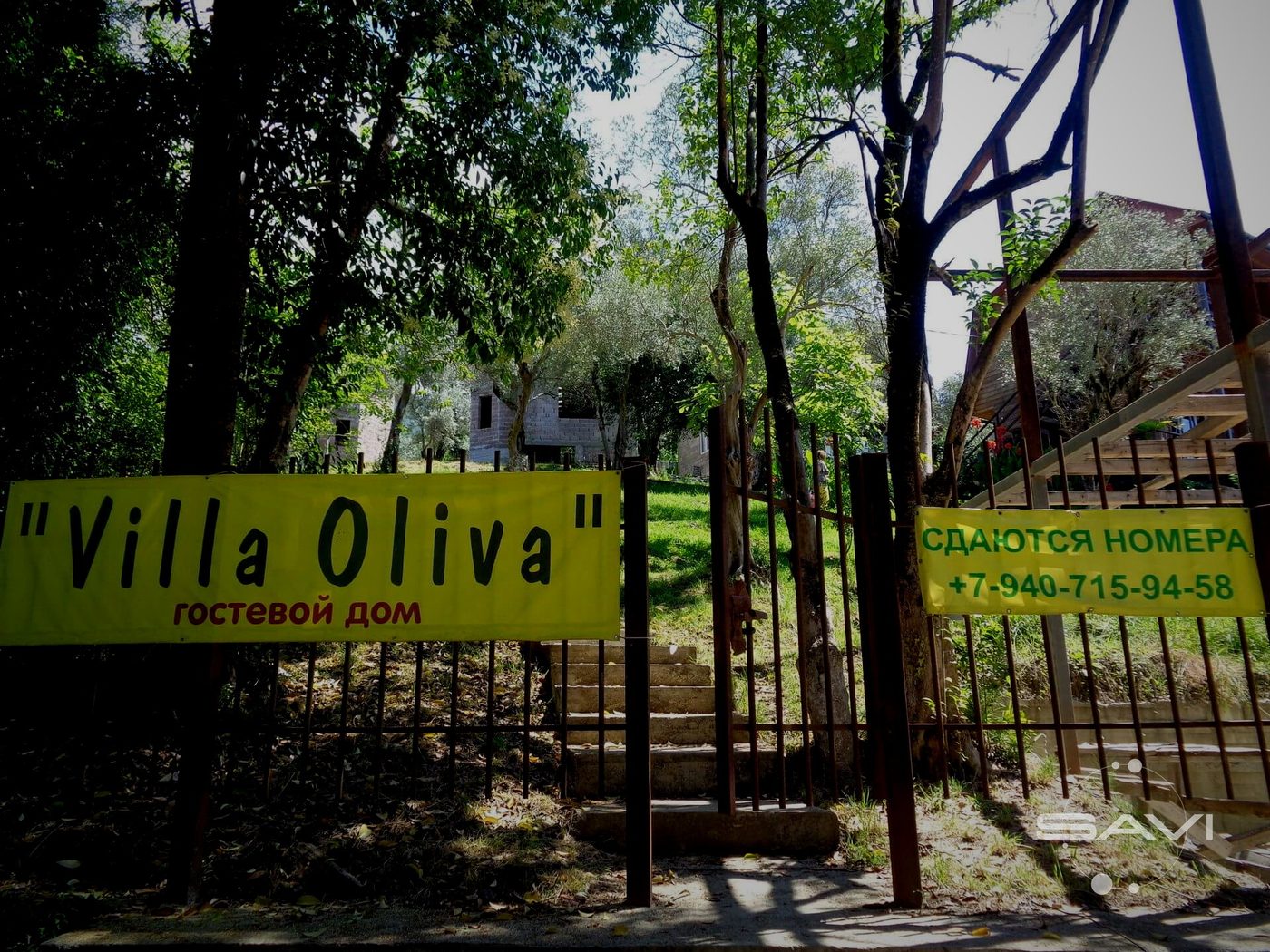 gostevoy dom villa oliva 306