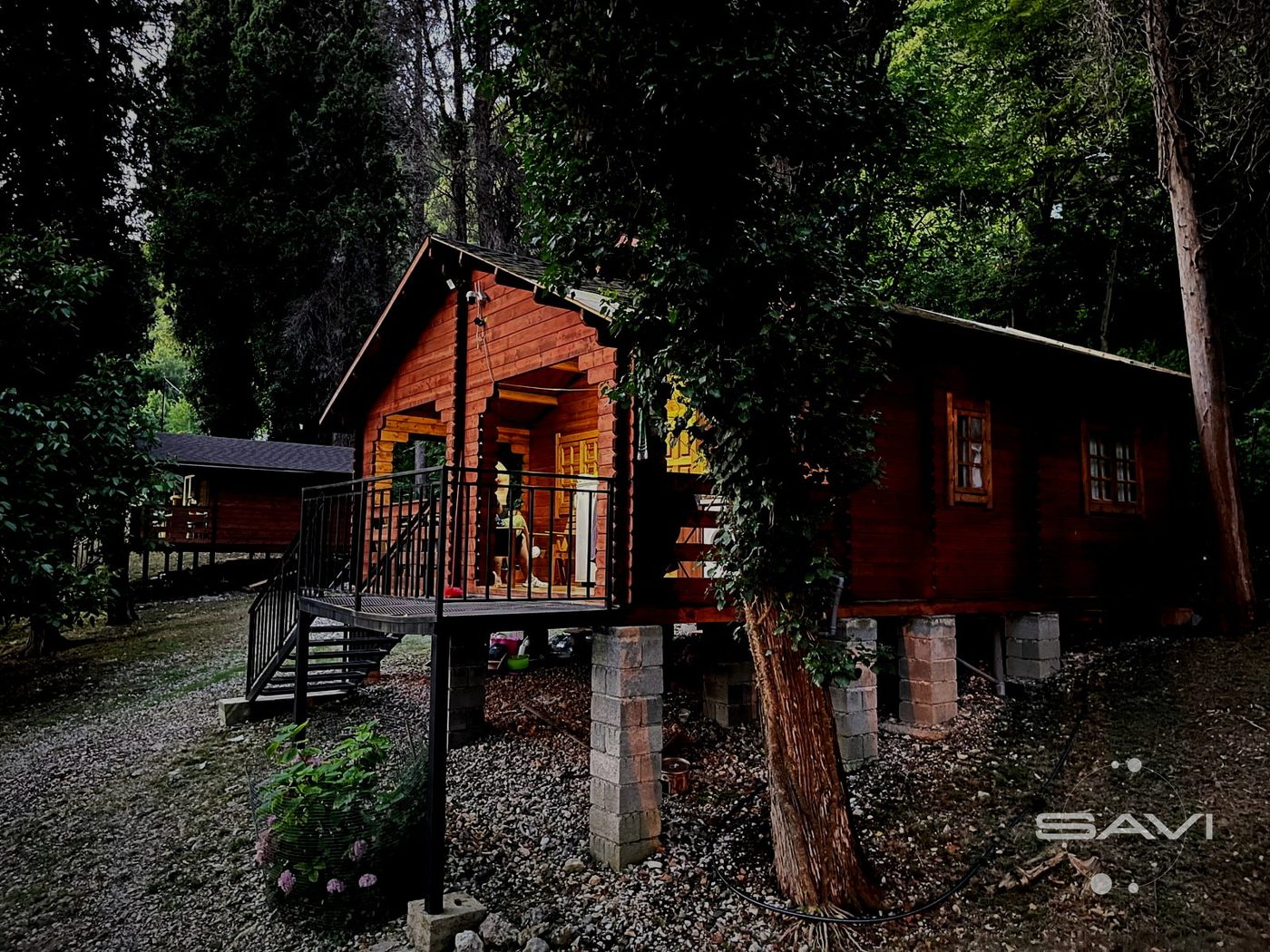 cypress house sukhumi 313