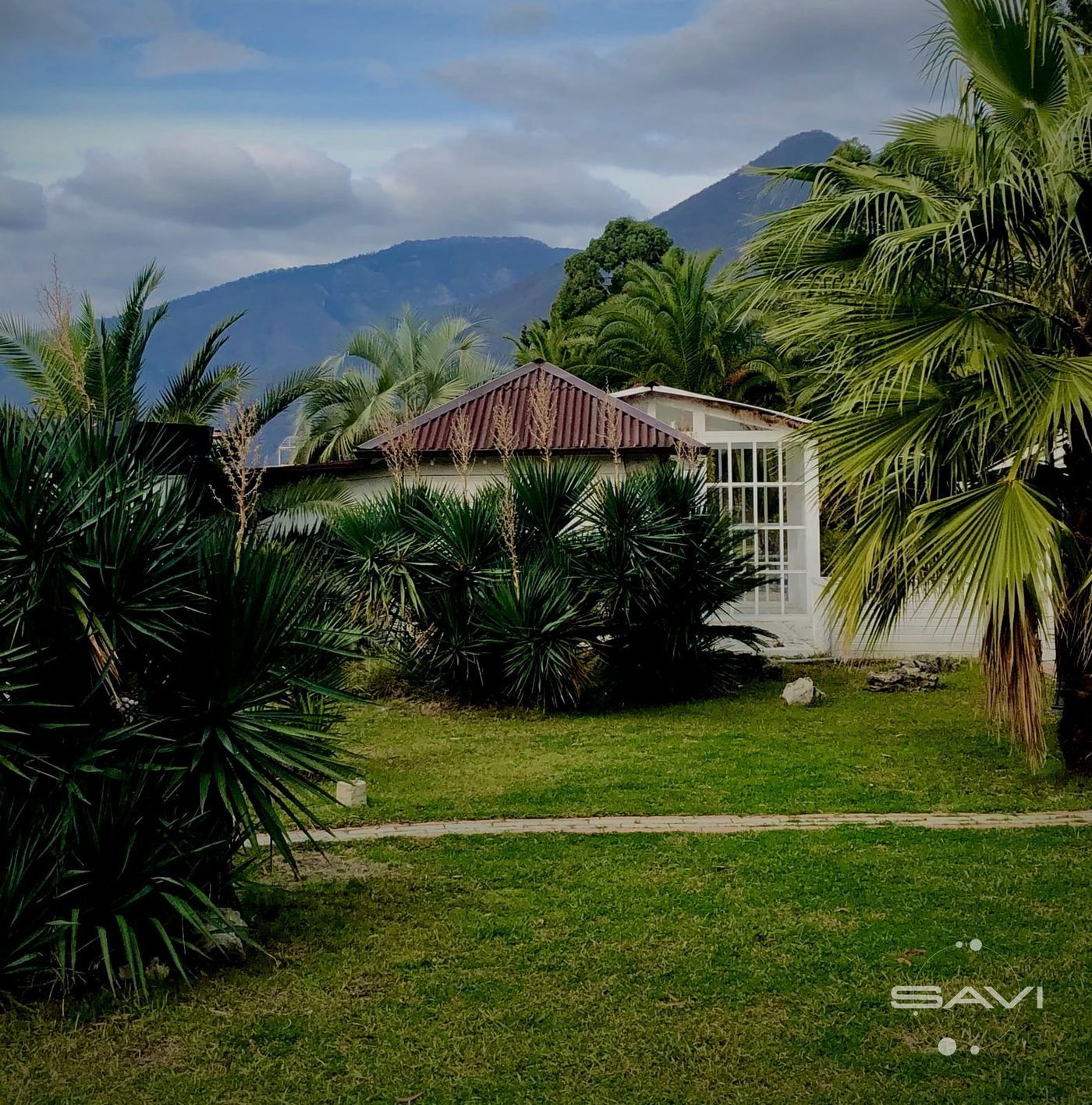 gostinica fish house 445