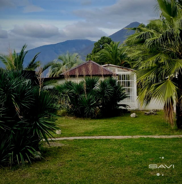 gostinica fish house 445
