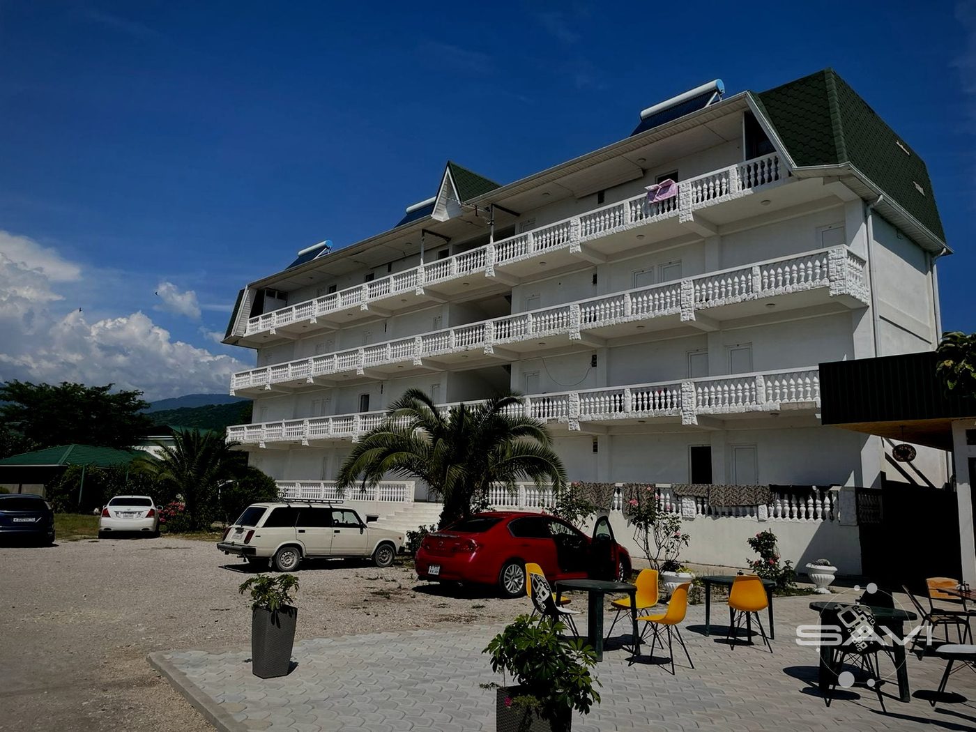 belaya panama 455