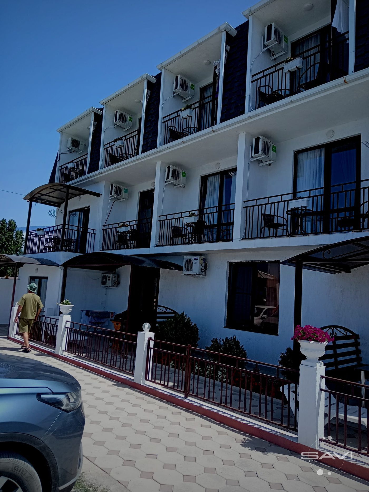 belaya lebed 593