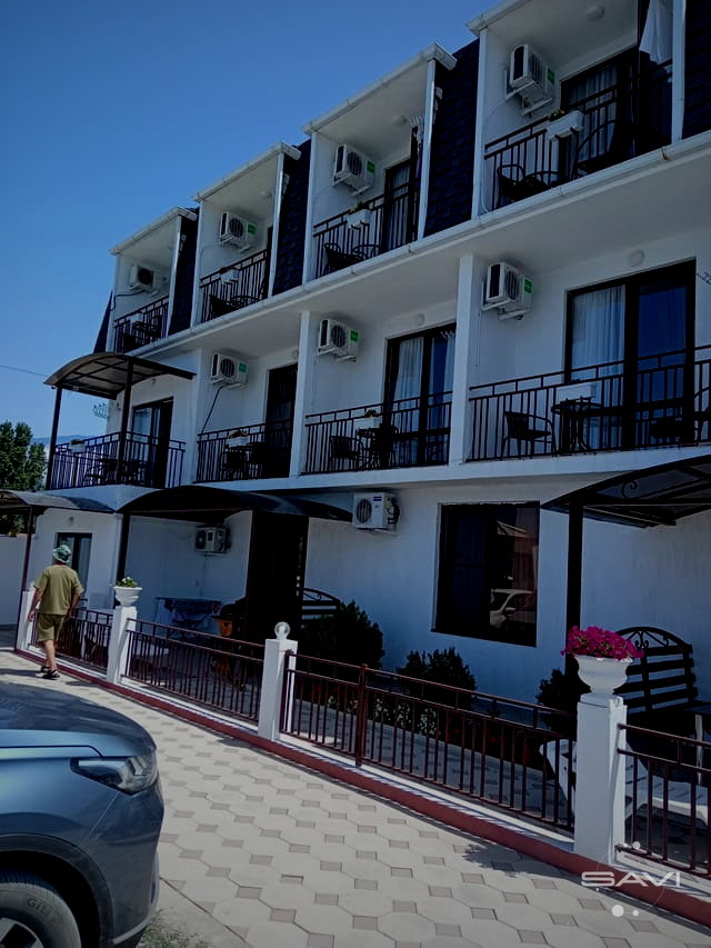 belaya lebed 593
