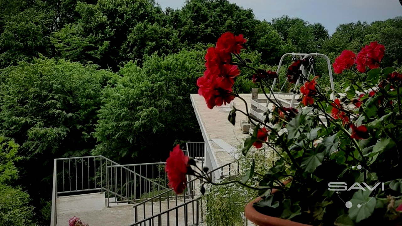 terem 904