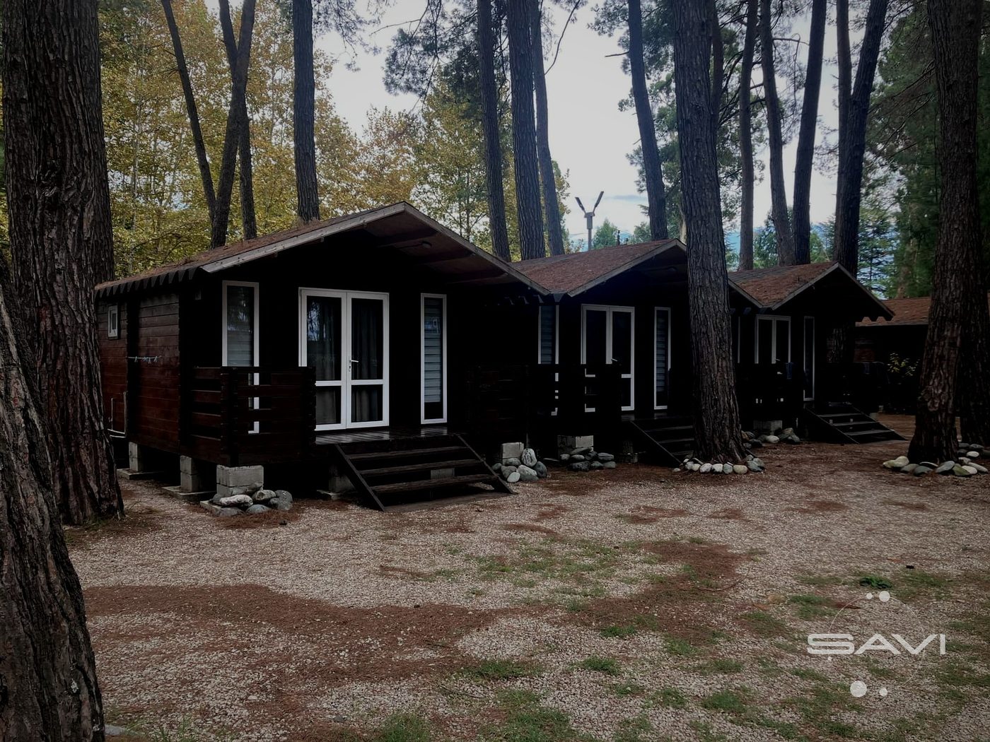 forest club 988