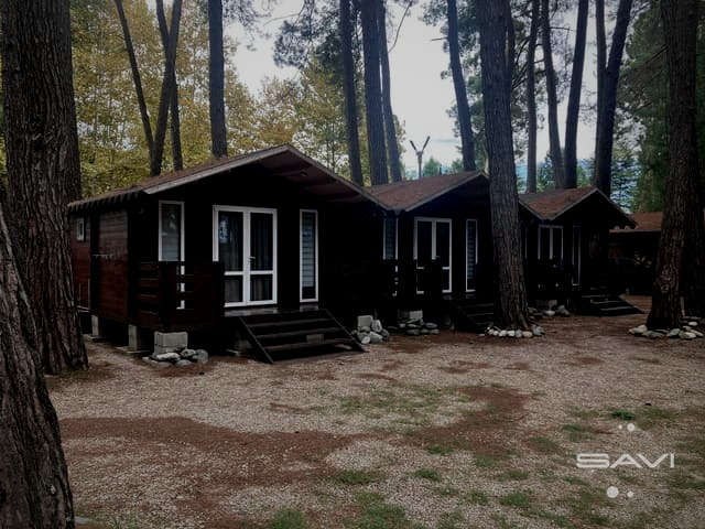 forest club 988
