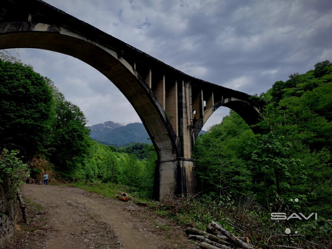 zabroshennyy viaduk 196