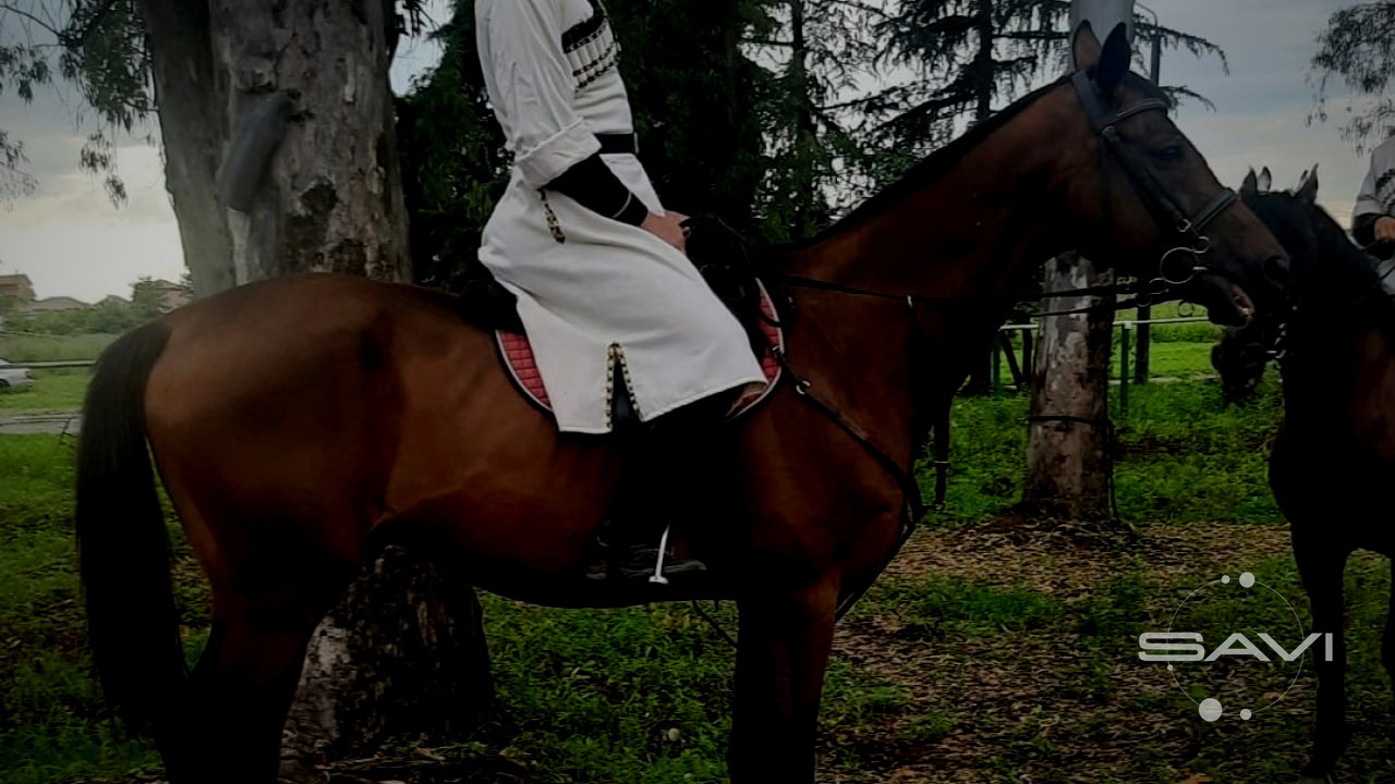nadezhda 365