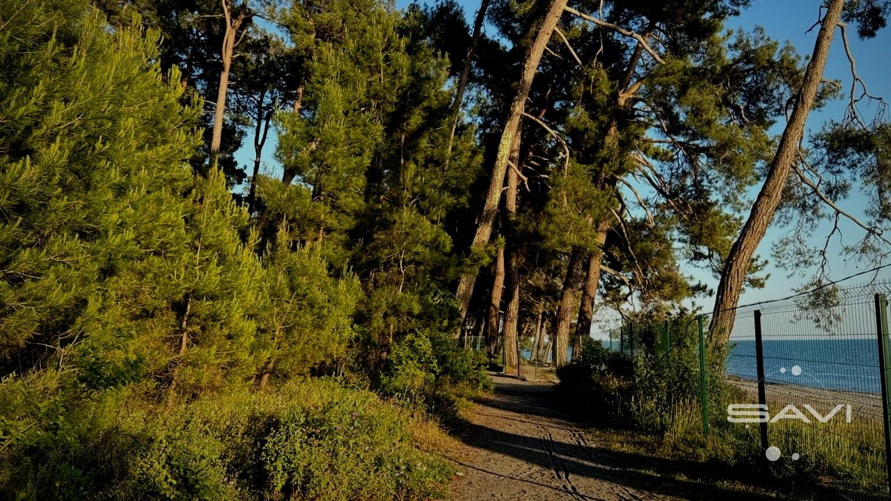 picunda myusserskiy zapovednik 368